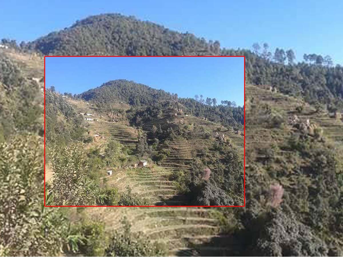 सुर्नया –५ धुलिधारमा बर्थिङ सेन्टर सञ्चालनको माग 